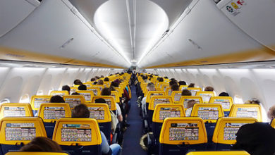 Фото - Неопытная стюардесса смутилась от взглядов людей и случайно объявила эвакуацию: События