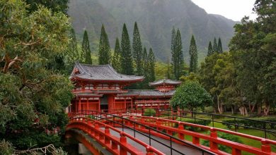 Фото - Япония откроется для индивидуальных туристов
